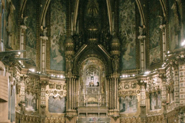 IMG_2546_resultado IMG_2546_resultado