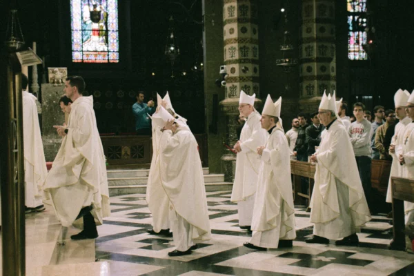 IMG_2560_resultado IMG_2560_resultado