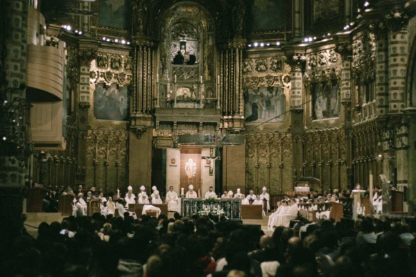 IMG_2594_resultado IMG_2594_resultado