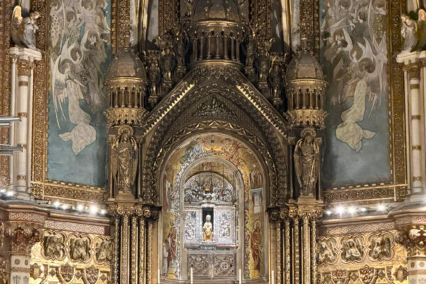 WhatsApp Image 2026-02-15 at 20.58.29_resultado