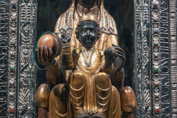 WhatsApp Image 2026-02-16 at 22.10.26 (1)_resultado