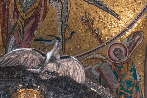 WhatsApp Image 2026-02-16 at 22.10.26_resultado