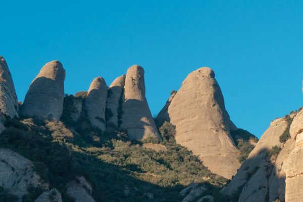 WhatsApp Image 2026-02-16 at 22.10.30 (2)_resultado