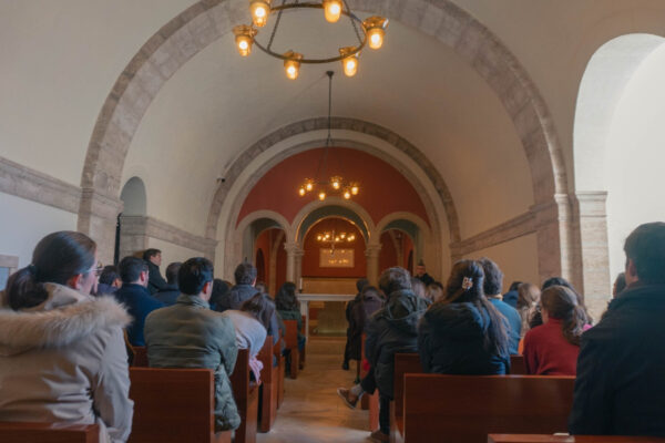 WhatsApp Image 2026-02-16 at 22.10.31 (1)_resultado